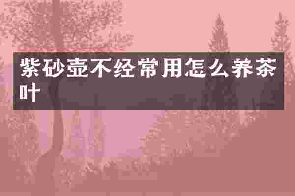紫砂壶不经常用怎么养茶叶