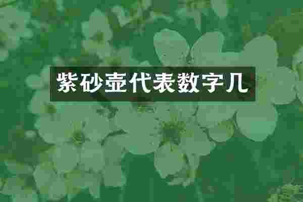 紫砂壶代表数字几