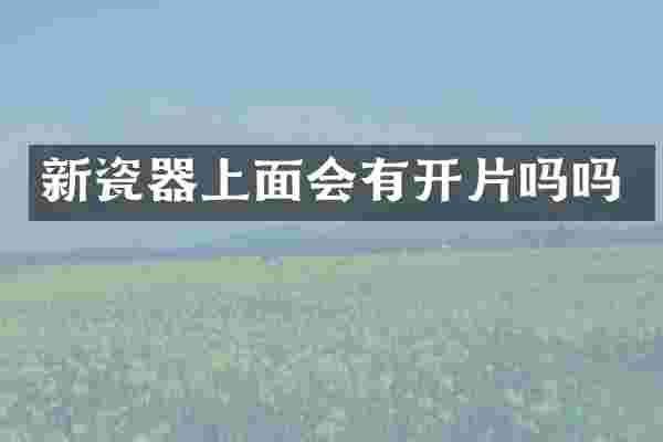 新瓷器上面会有开片吗吗