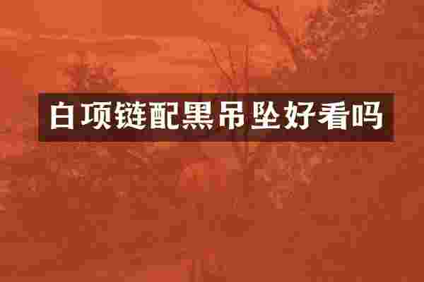 白项链配黑吊坠好看吗