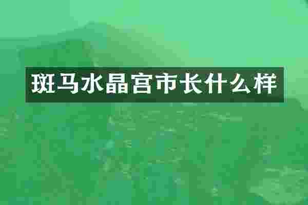 斑马水晶宫市长什么样