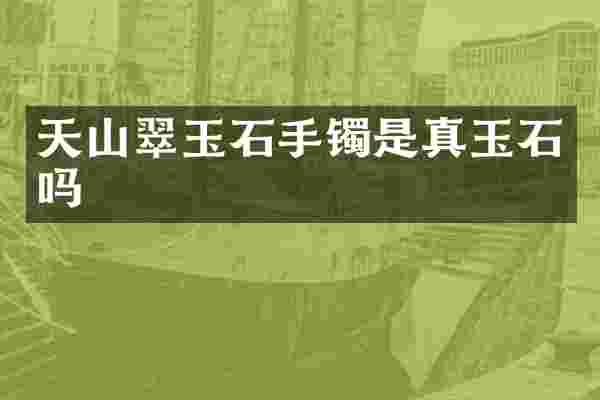 天山翠玉石手镯是真玉石吗