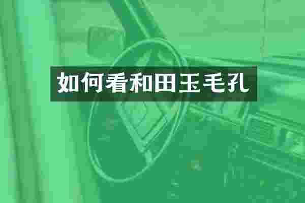 如何看和田玉毛孔