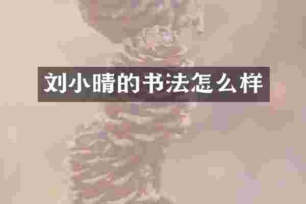 刘小晴的书法怎么样