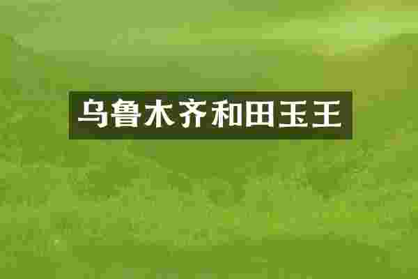 乌鲁木齐和田玉王