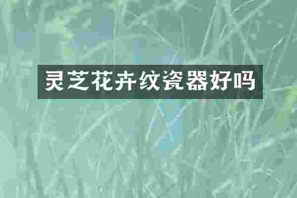 灵芝花卉纹瓷器好吗