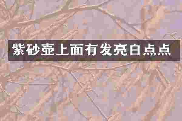 紫砂壶上面有发亮白点点