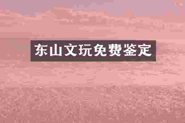 东山文玩免费鉴定