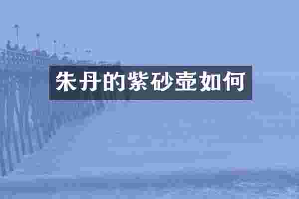 朱丹的紫砂壶如何