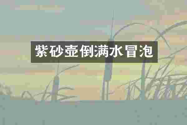 紫砂壶倒满水冒泡