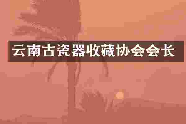 云南古瓷器收藏协会会长