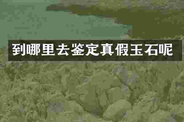 到哪里去鉴定真假玉石呢