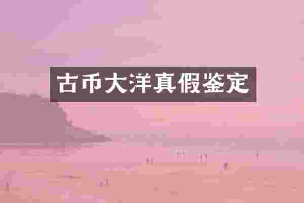 古币大洋真假鉴定