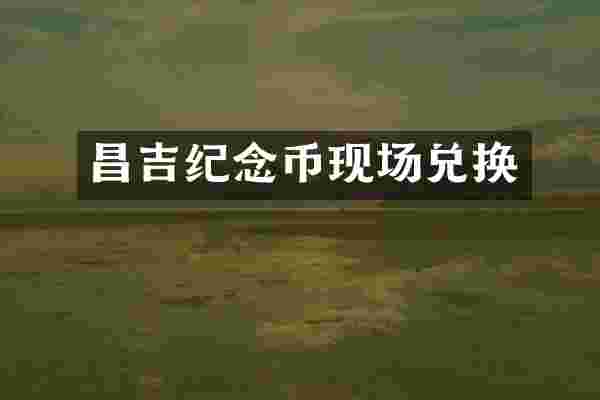 昌吉纪念币现场兑换
