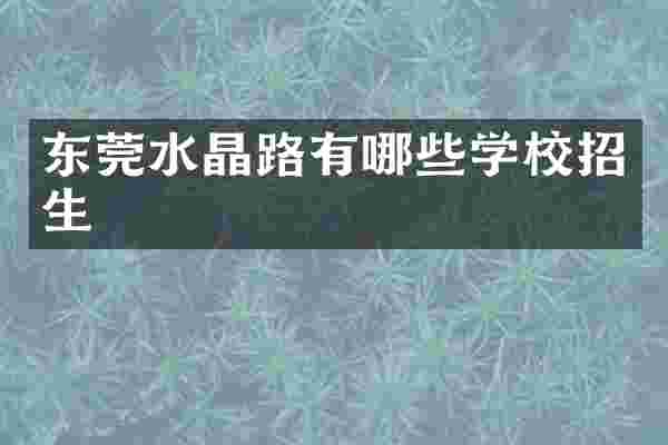 东莞水晶路有哪些学校招生