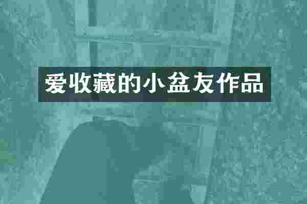 爱收藏的小盆友作品