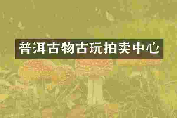 普洱古物古玩拍卖中心