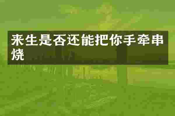来生是否还能把你手牵串烧