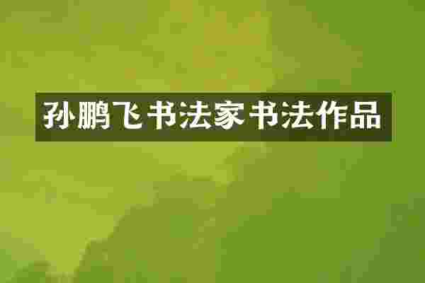 孙鹏飞书法家书法作品