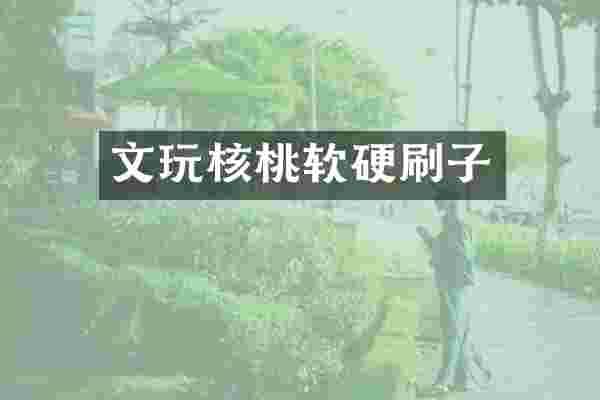 文玩核桃软硬刷子