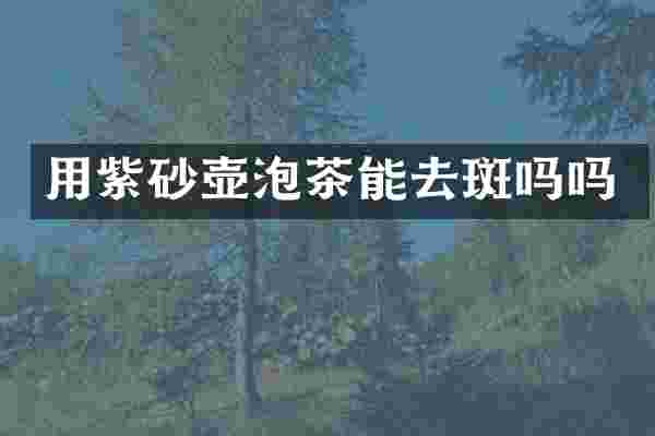 用紫砂壶泡茶能去斑吗吗