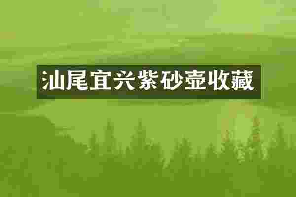 汕尾宜兴紫砂壶收藏