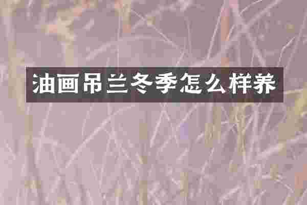 油画吊兰冬季怎么样养