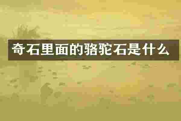 奇石里面的骆驼石是什么