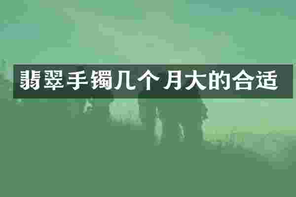 翡翠手镯几个月大的合适