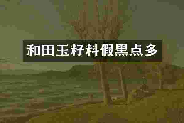 和田玉籽料假黑点多