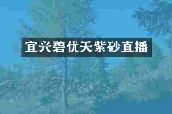 宜兴碧优天紫砂直播