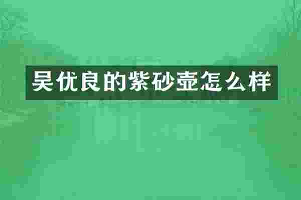 吴优良的紫砂壶怎么样