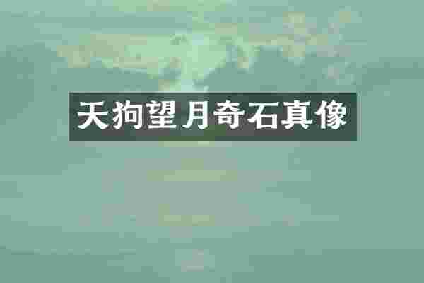 天狗望月奇石真像