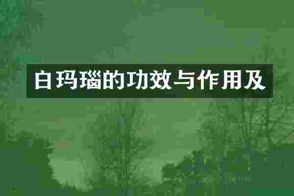 白玛瑙的功效与作用及