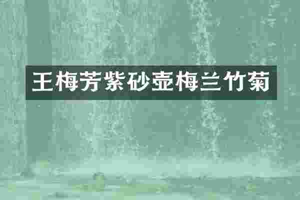 王梅芳紫砂壶梅兰竹菊