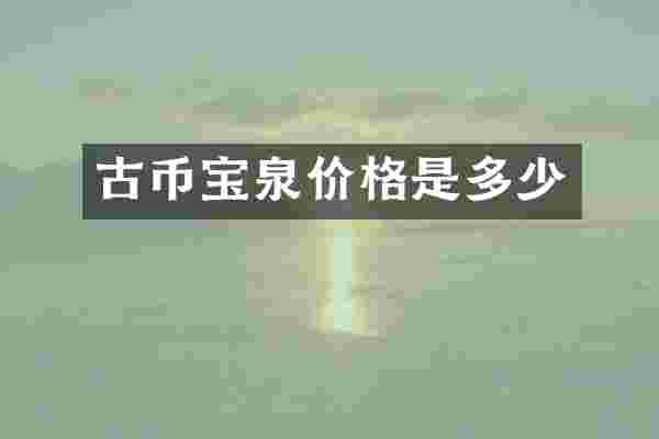 古币宝泉价格是多少