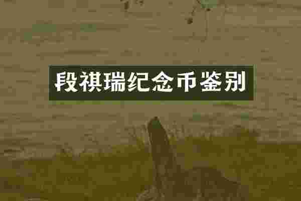 段祺瑞纪念币鉴别