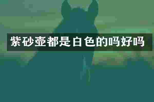 紫砂壶都是白色的吗好吗
