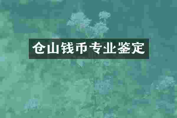 仓山钱币专业鉴定