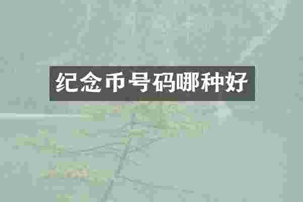 纪念币号码哪种好