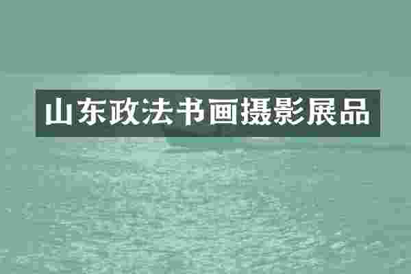 山东政法书画摄影展品