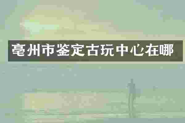 亳州市鉴定古玩中心在哪