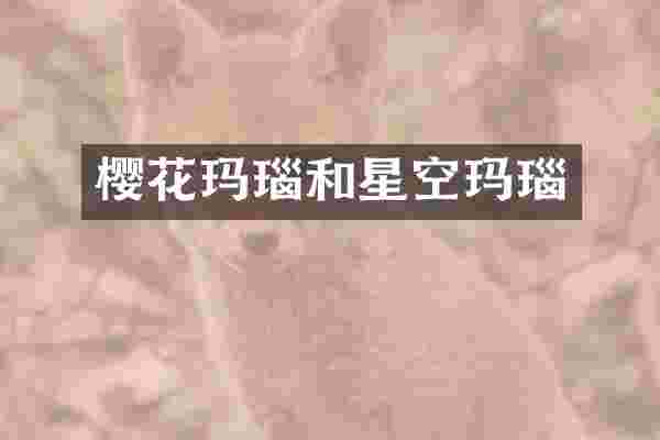 樱花玛瑙和星空玛瑙