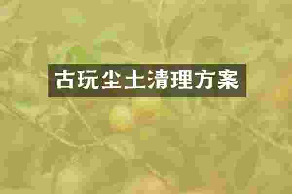 古玩尘土清理方案
