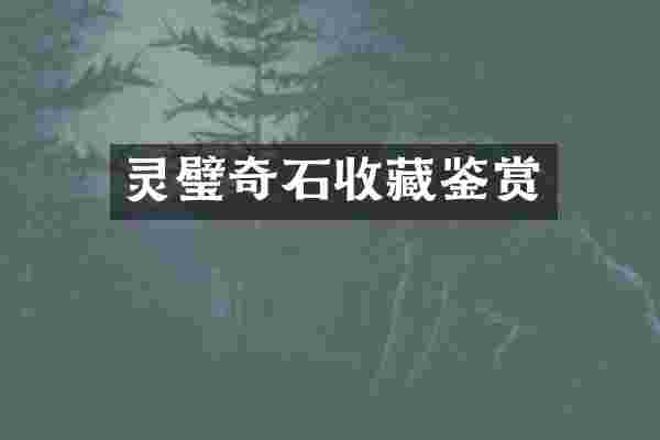 灵璧奇石收藏鉴赏