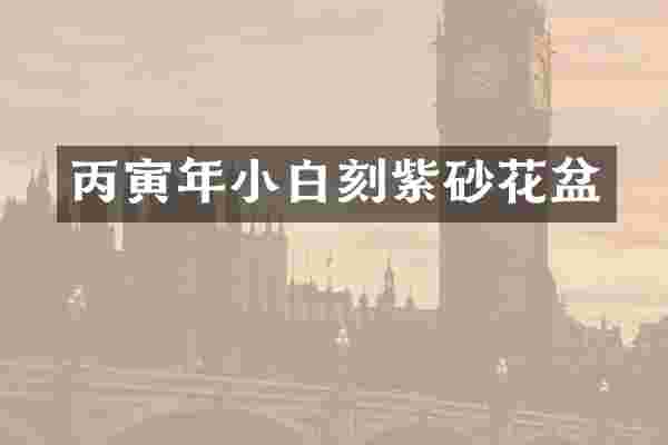 丙寅年小白刻紫砂花盆