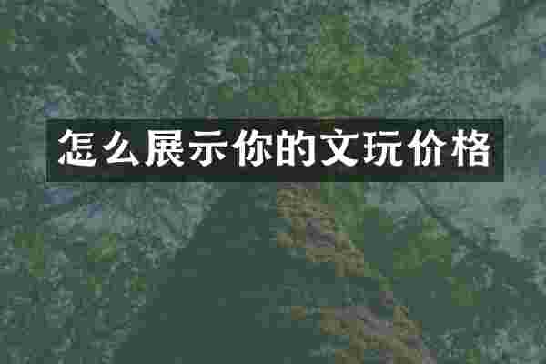 怎么展示你的文玩价格