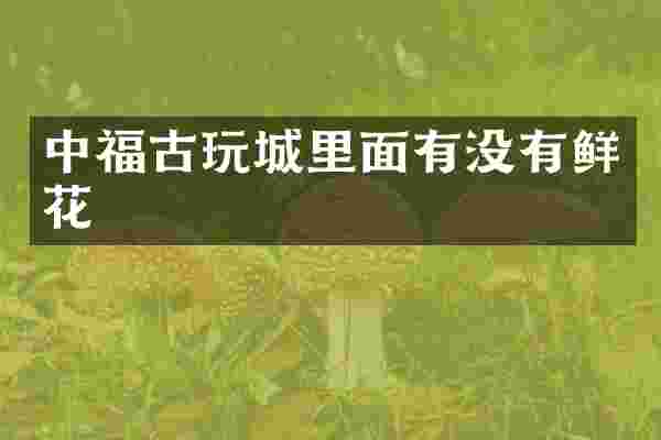 中福古玩城里面有没有鲜花