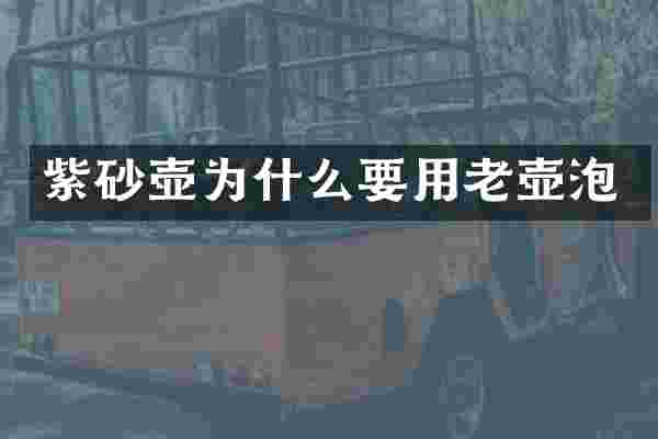 紫砂壶为什么要用老壶泡