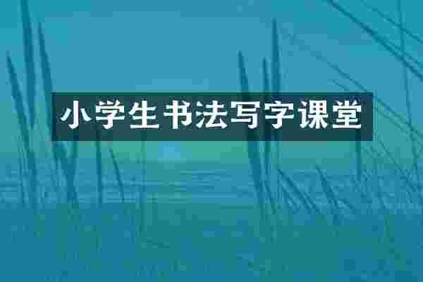 小学生书法写字课堂